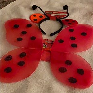 Ladybug headband ,shirt , wings and pinwheel